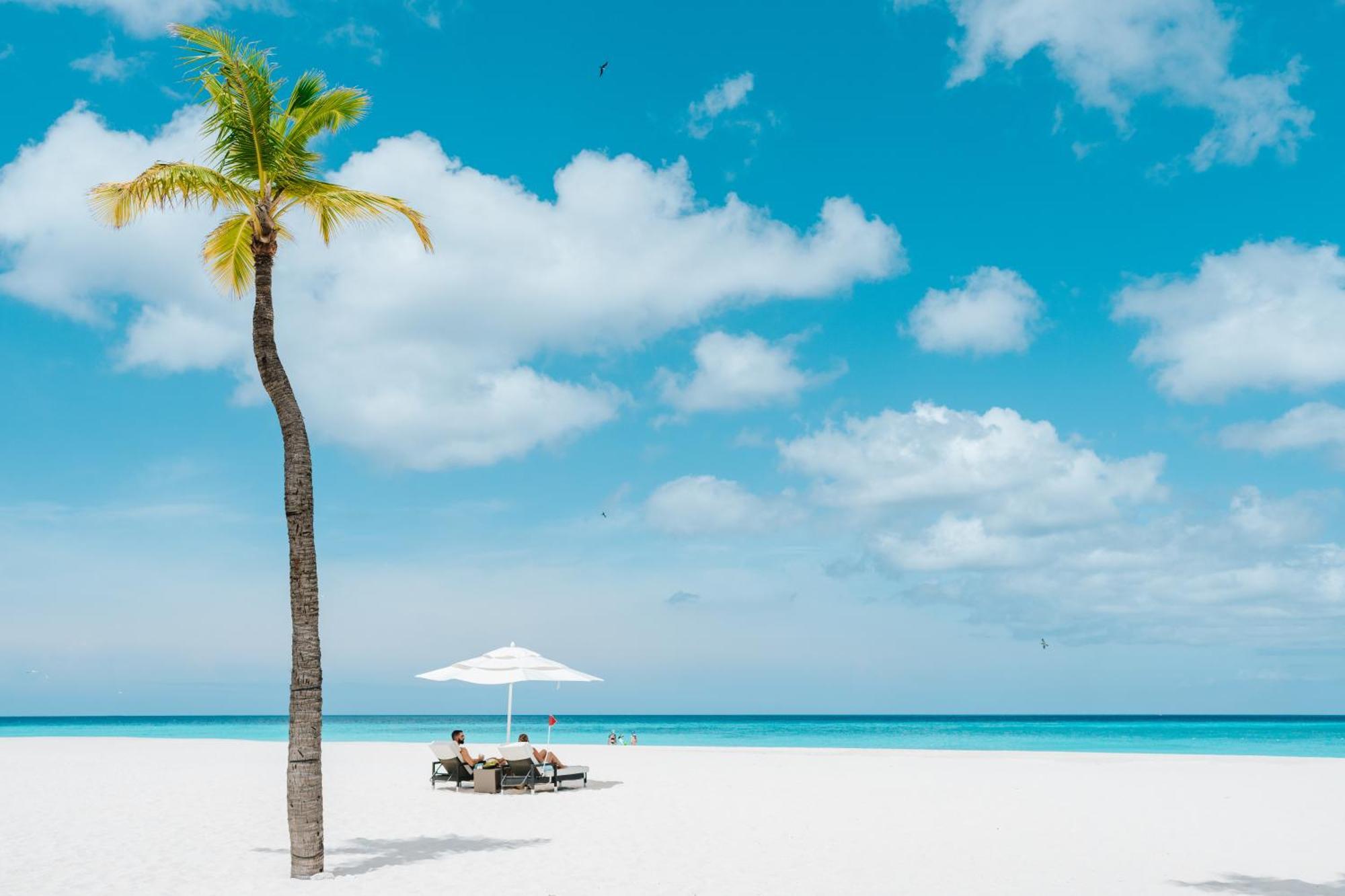 Bucuti & Tara Boutique Beach Resort - Adult Only Palm Beach Eksteriør billede