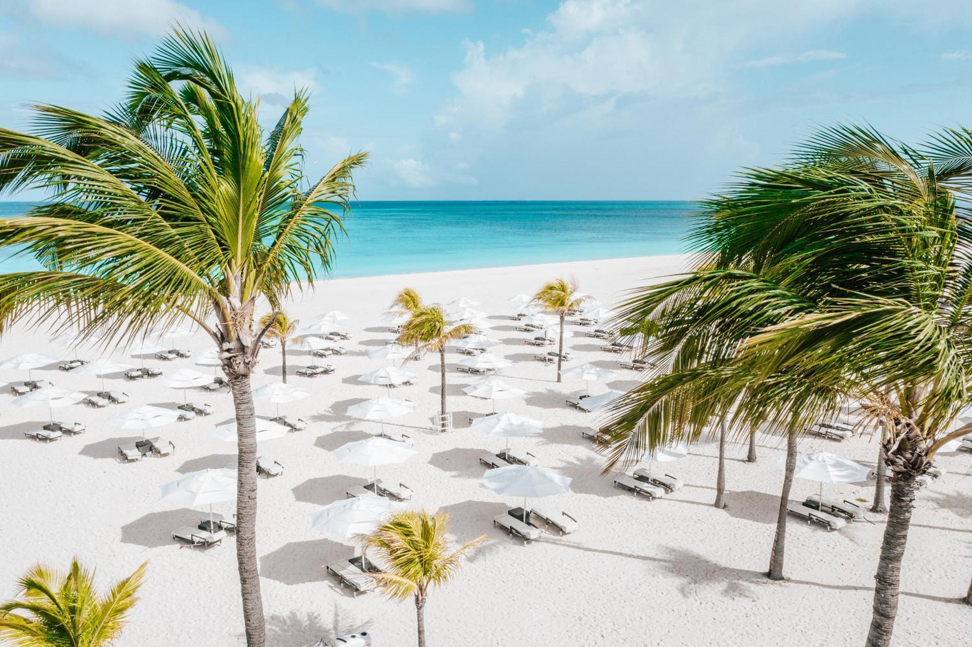 Bucuti & Tara Boutique Beach Resort - Adult Only Palm Beach Eksteriør billede
